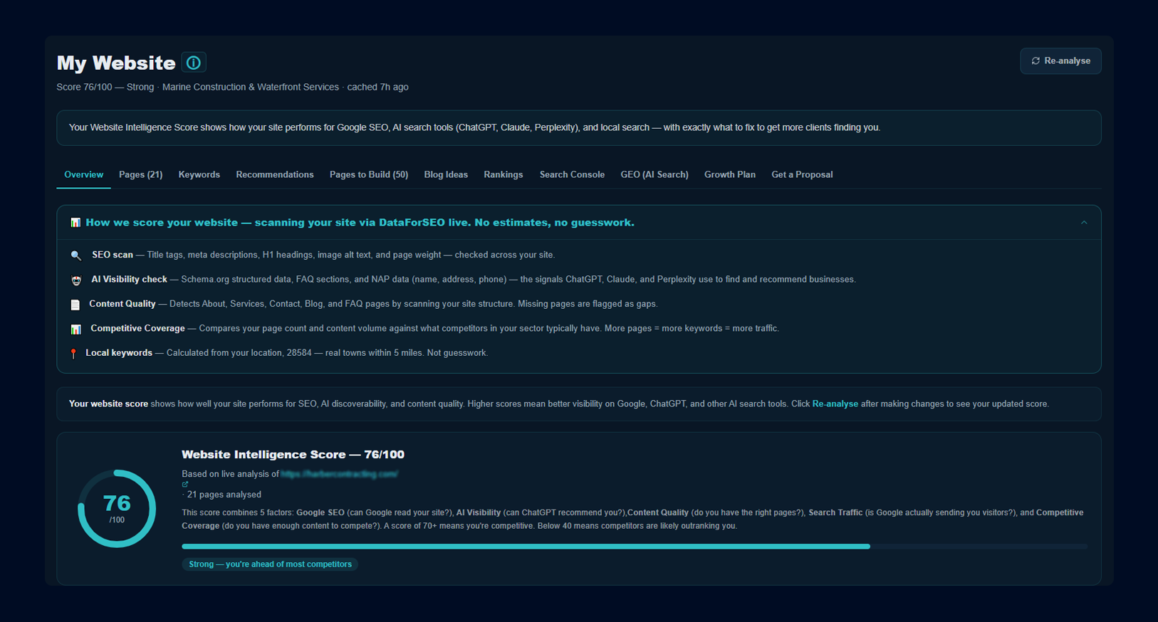 DWC SEO AI Tool